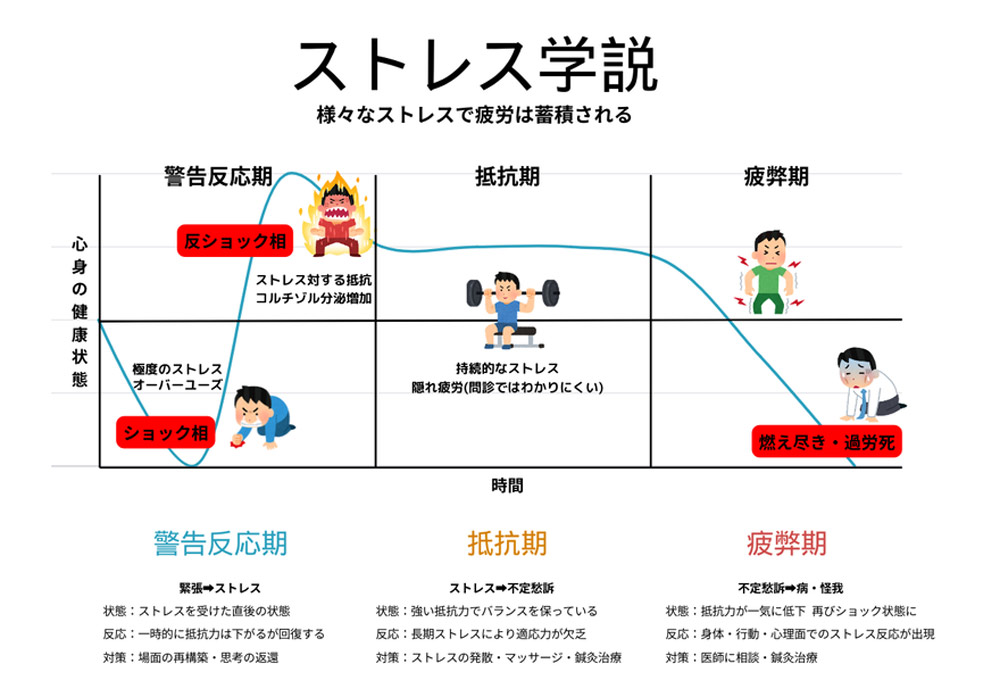 マッスルシンメトリー治療・図